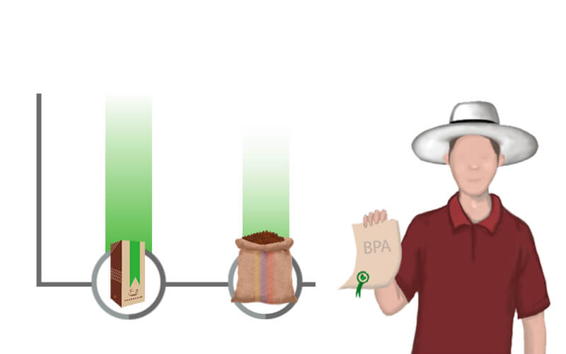Introducción a las buenas prácticas agrícolas (BPA) en el cultivo del café