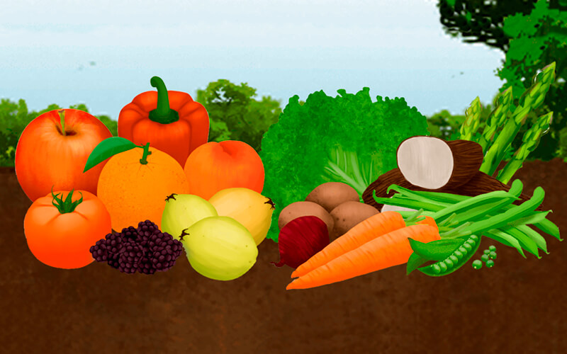 Generalidades del cultivo de frutas y verduras