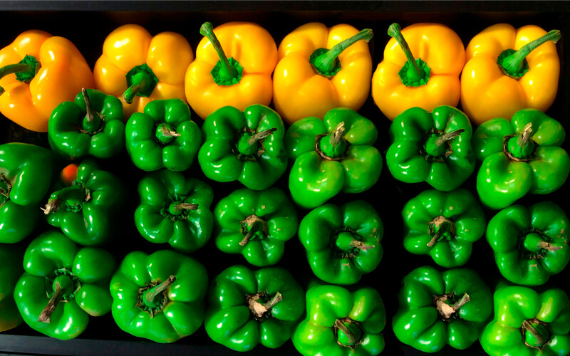 Pista de juego de proporciones