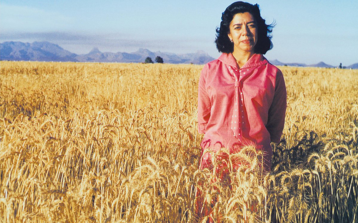 Evangelina Villegas Moreno