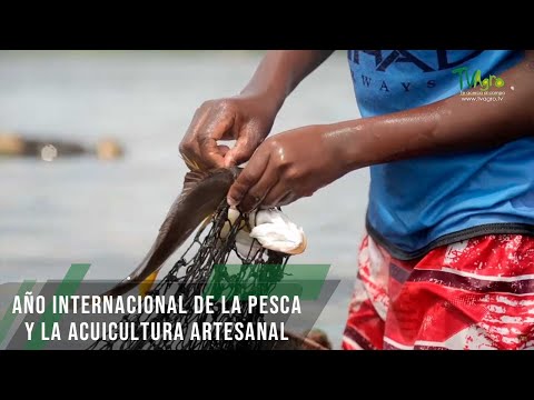 Año Internacional de la Pesca y la Acuicultura Artesanal - TvAgro por Juan Gonzalo Angel Restrepo