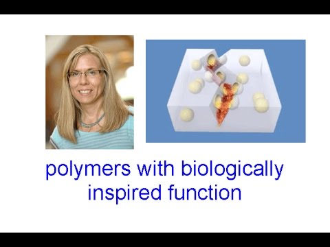 Polímeros con función de inspiración biológica