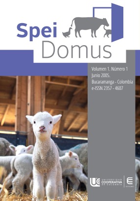 Spei Domus Vol. 1 Nm. 1