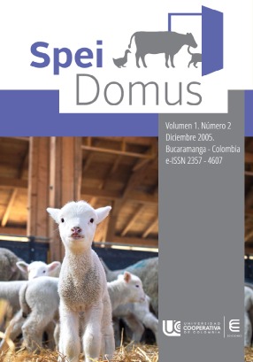 Spei Domus Vol. 1 Nm. 2