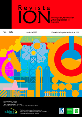 ION Vol. 19 Nm. 1