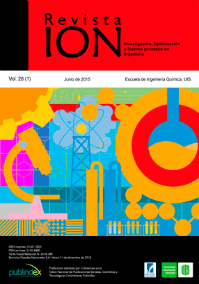 ION Vol. 28 Nm. 1