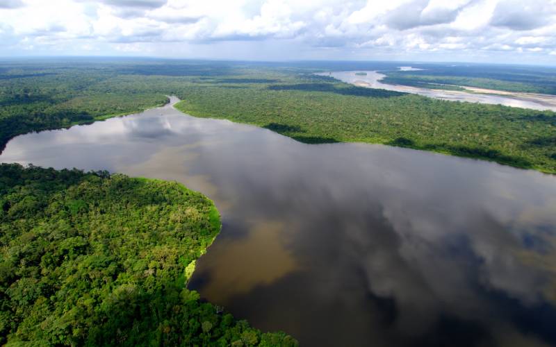 Exposicin Amazonia: Un Hub de BioCreatividad